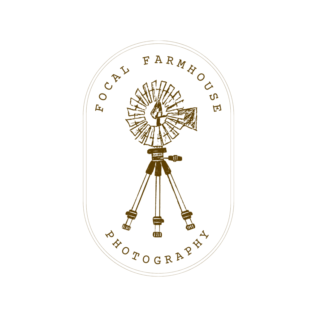 transparent logo