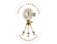 transparent logo